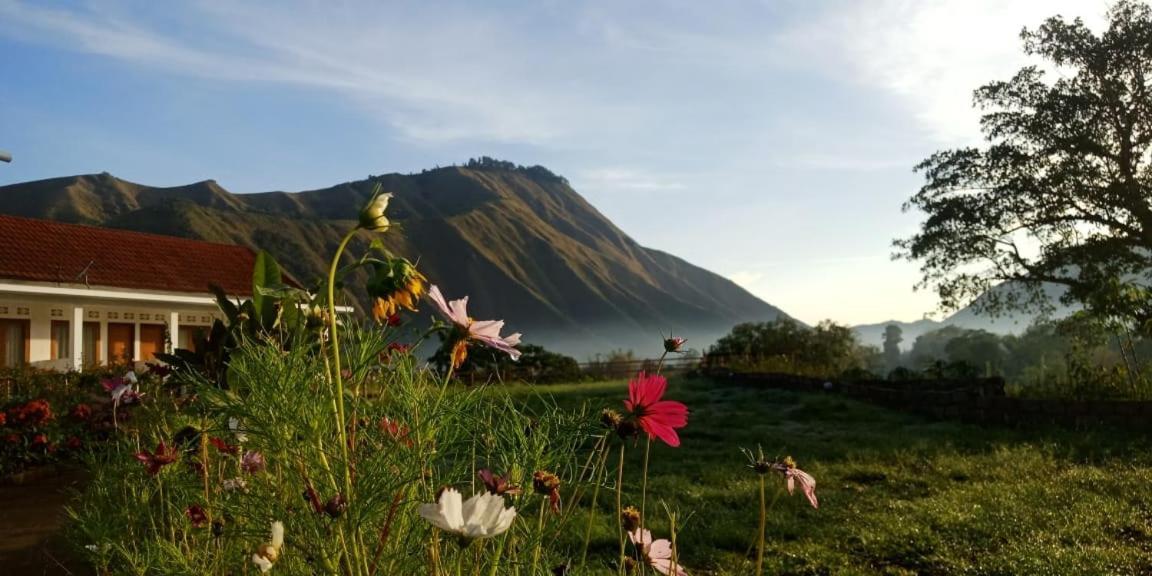 Rinjani Hill Hotel Sembalunlawang Kültér fotó