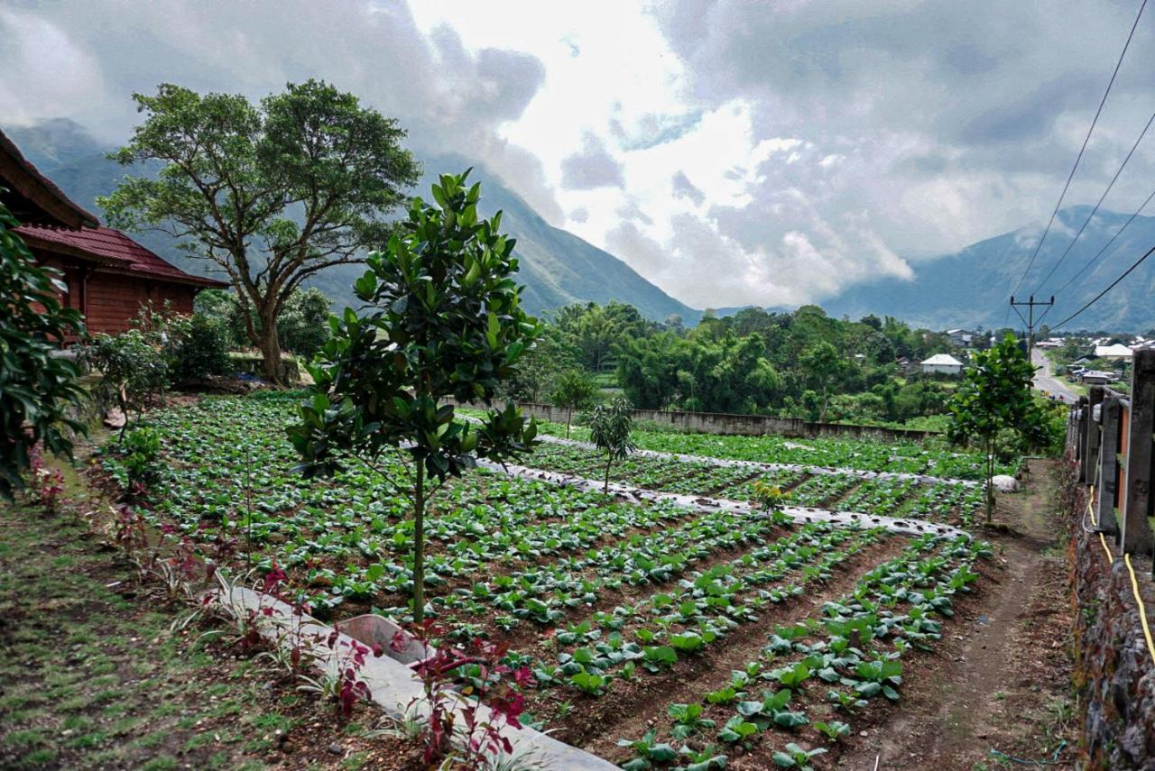 Rinjani Hill Hotel Sembalunlawang Kültér fotó
