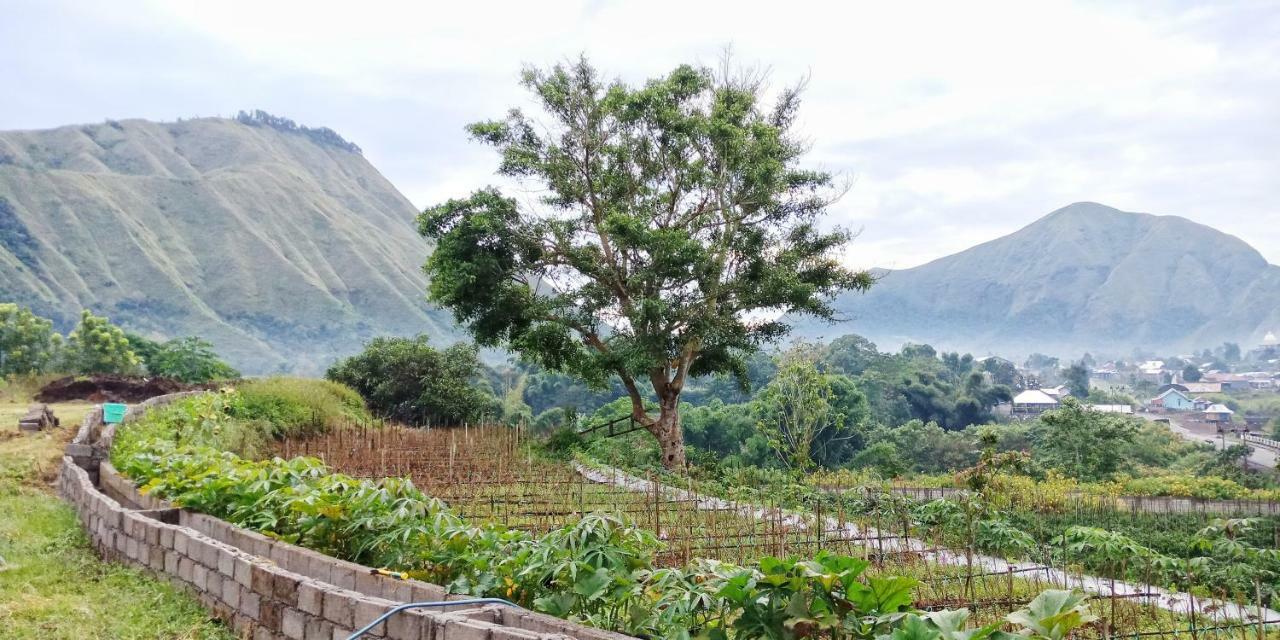 Rinjani Hill Hotel Sembalunlawang Kültér fotó
